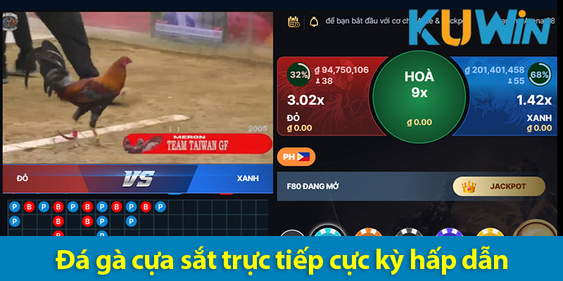 Khám phá luật chơi và các kinh nghiệm đá gà cựa sắt Thomo 2025